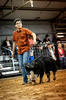 Stonewall County Stock Show '23
