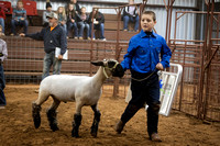 Fisher County Stock Show '22 Weekend 1